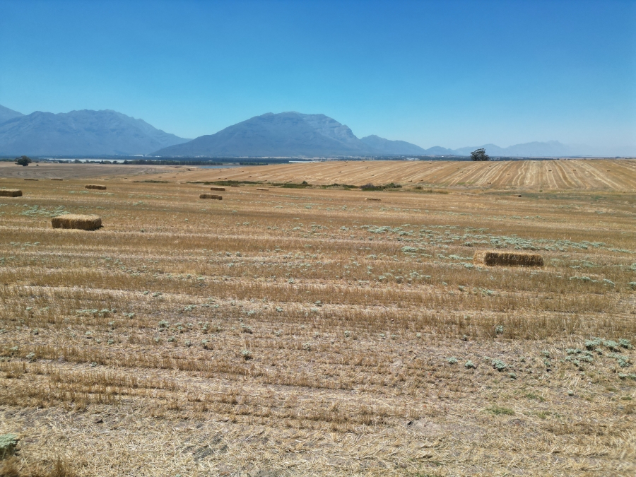 4 Bedroom Property for Sale in Porterville Western Cape